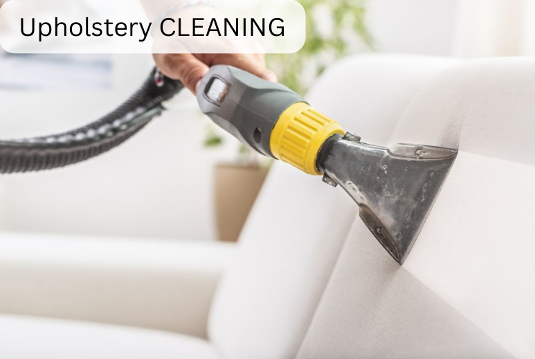 Professional Carpet Cleaning (14)