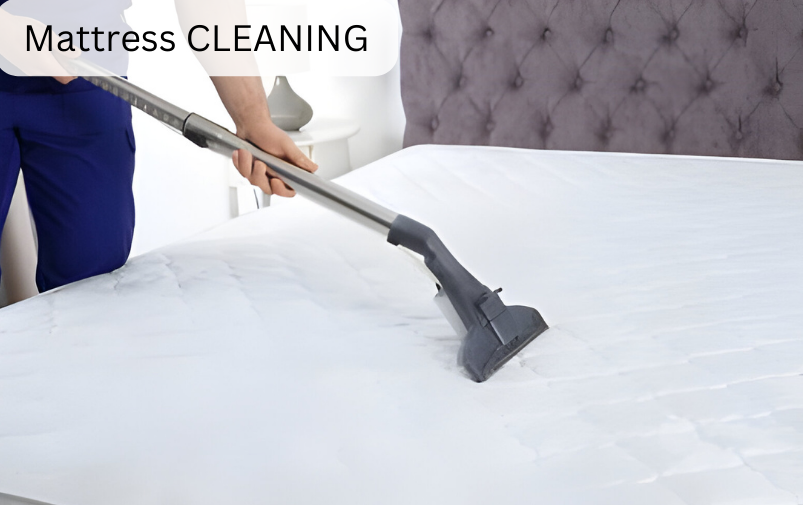 Professional Carpet Cleaning (5)